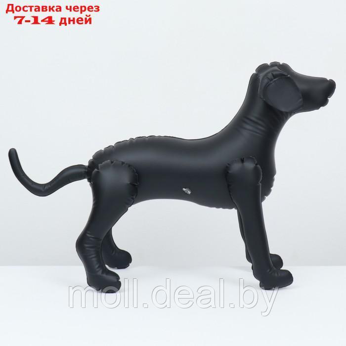 Манекен собаки, надувной, 80 х 56 х 25 см, черный - фото 4 - id-p227090696