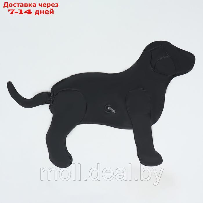 Манекен собаки, надувной, 80 х 56 х 25 см, черный - фото 5 - id-p227090696