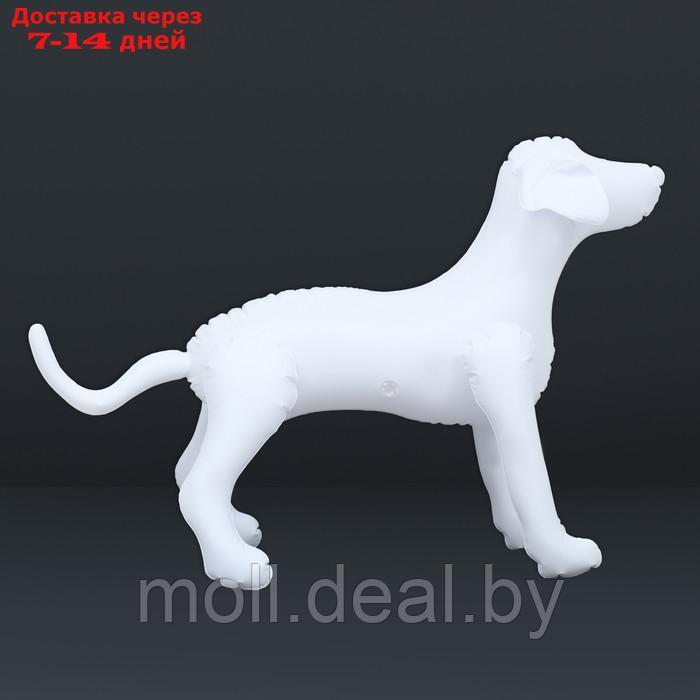 Манекен собаки, надувной, 80 х 56 х 25 см, белый - фото 4 - id-p227090700