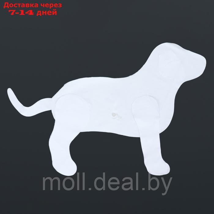 Манекен собаки, надувной, 80 х 56 х 25 см, белый - фото 5 - id-p227090700