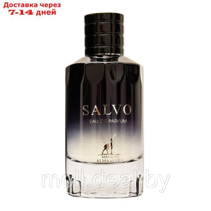 Парфюмерная вода мужская Salvo (по мотивам Dior Sauvage), 100 мл - фото 2 - id-p227089709
