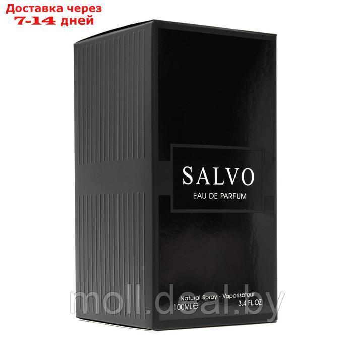 Парфюмерная вода мужская Salvo (по мотивам Dior Sauvage), 100 мл - фото 5 - id-p227089709