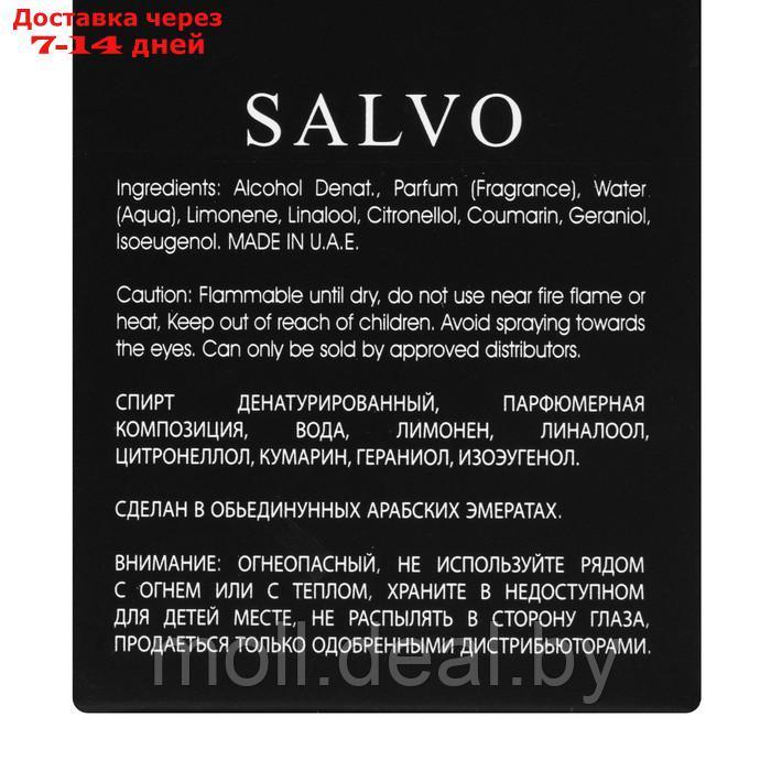 Парфюмерная вода мужская Salvo (по мотивам Dior Sauvage), 100 мл - фото 7 - id-p227089709