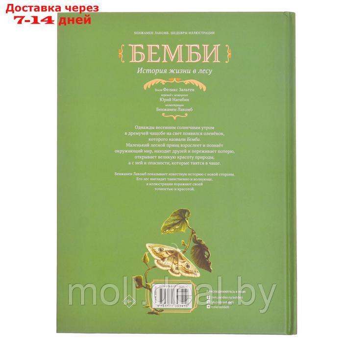 Книга "Бемби", Зальтен Ф., Лакомб Б. - фото 2 - id-p227082767
