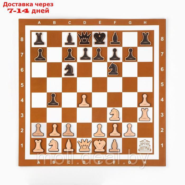 Демонстрационные шахматы "Время игры" на магнитной доске, 32 шт, поле 60 х 60 см, коричневые - фото 1 - id-p227106728