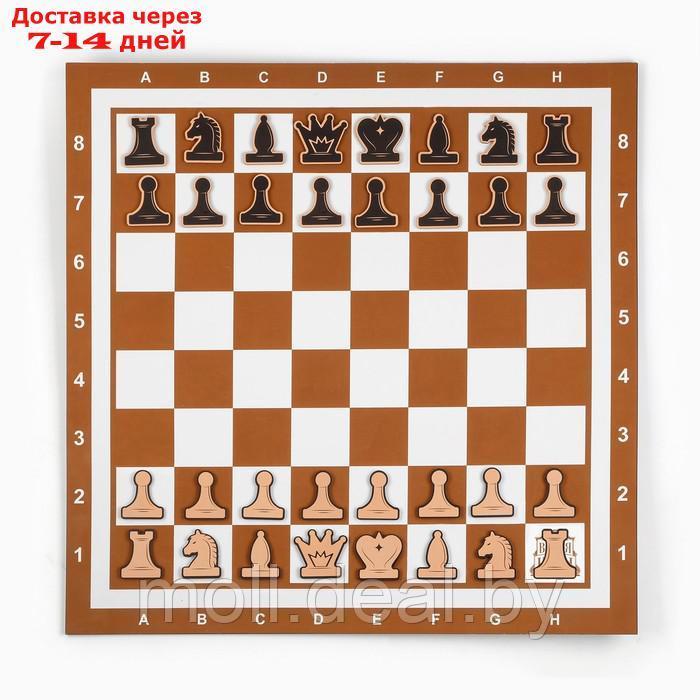 Демонстрационные шахматы "Время игры" на магнитной доске, 32 шт, поле 60 х 60 см, коричневые - фото 2 - id-p227106728