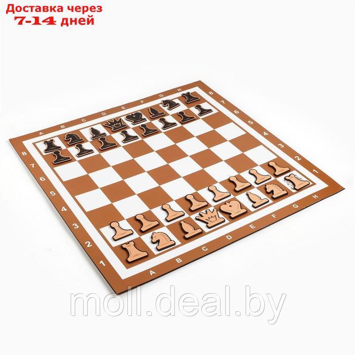 Демонстрационные шахматы "Время игры" на магнитной доске, 32 шт, поле 60 х 60 см, коричневые - фото 3 - id-p227106728