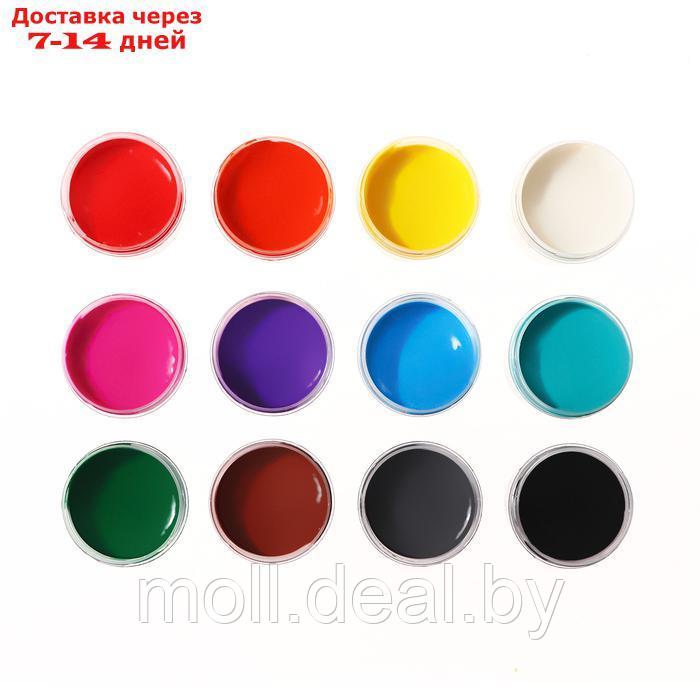 Краски пальчиковые набор 12 цветов по 40 мл Calligrata от 1 года - фото 5 - id-p227079809