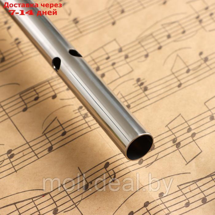 Флейта Music Life 304, 46 см, нержавеющая сталь, тональность F - фото 4 - id-p227087749