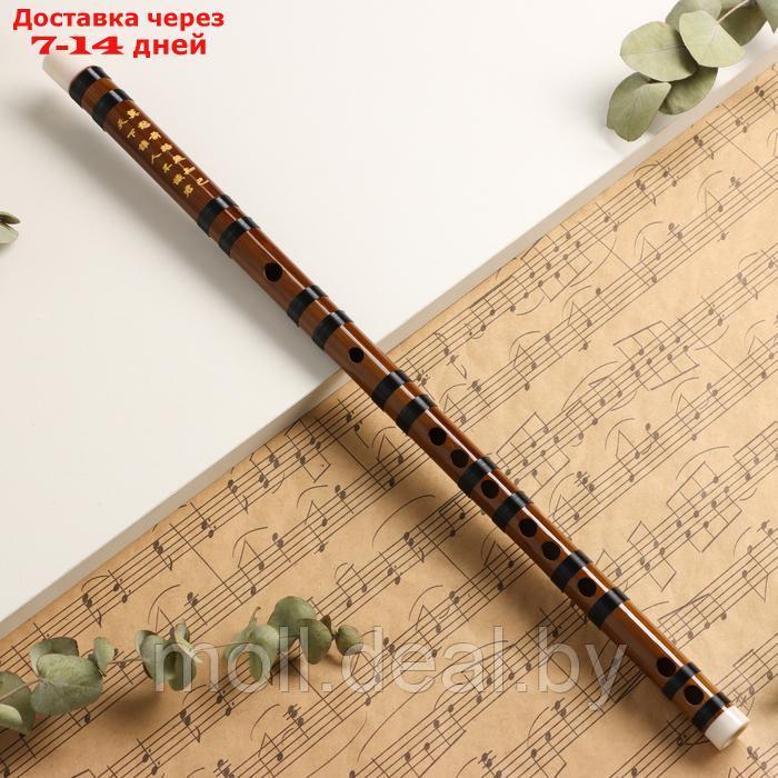 Флейта Music Life 48 см, бамбук, тональность G - фото 1 - id-p227087750