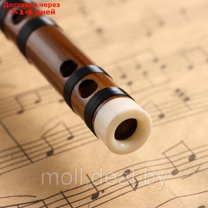 Флейта Music Life 48 см, бамбук, тональность G - фото 3 - id-p227087750