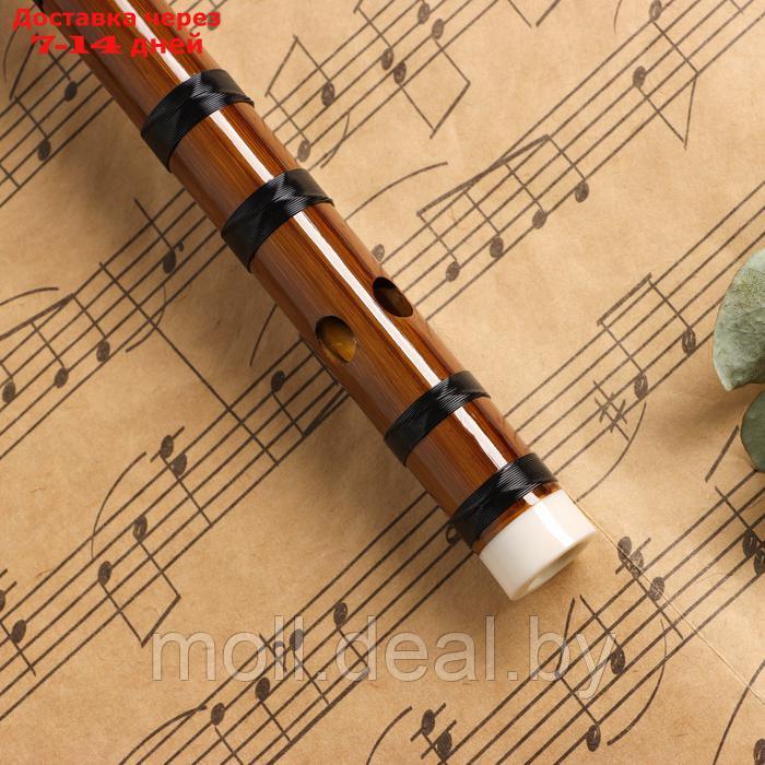 Флейта Music Life 48 см, бамбук, тональность G - фото 4 - id-p227087750