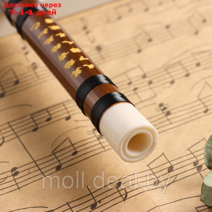 Флейта Music Life 48 см, бамбук, тональность G - фото 5 - id-p227087750
