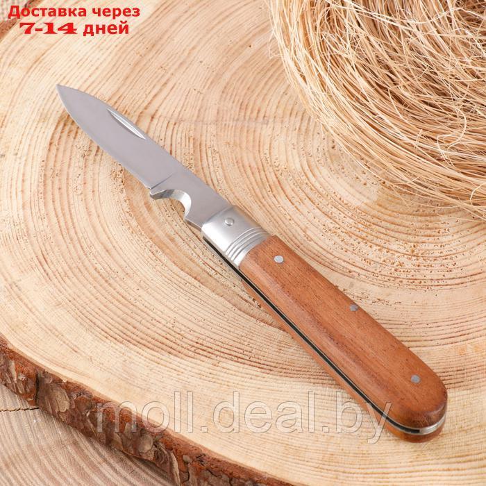 Нож складной "Стратег" 20см, клинок 87мм/2,5мм, со стропорезом, рукоять дерево - фото 1 - id-p227075843