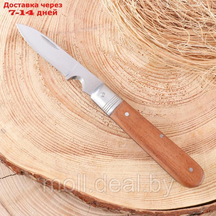 Нож складной "Стратег" 20см, клинок 87мм/2,5мм, со стропорезом, рукоять дерево - фото 2 - id-p227075843