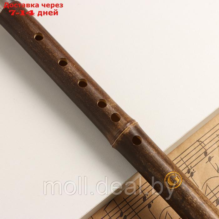 Флейта Music Life 52 см, с узорами, тональность G, бамбук, разборная - фото 2 - id-p227087752