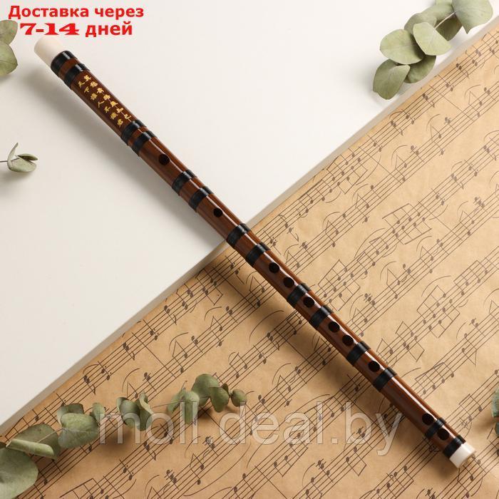 Флейта Music Life 48 см, бамбук, тональность F - фото 1 - id-p227087753