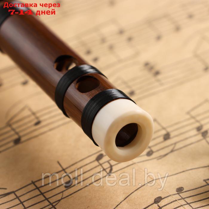 Флейта Music Life 48 см, бамбук, тональность F - фото 3 - id-p227087753