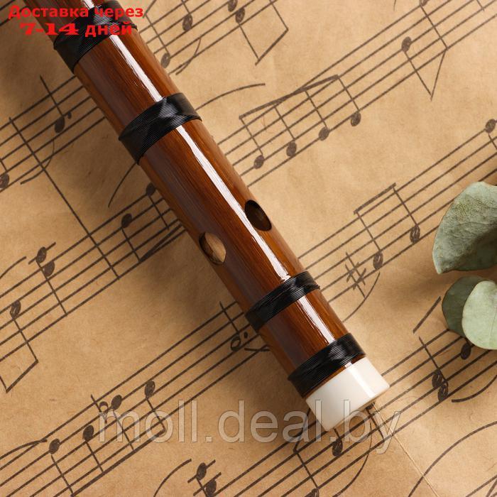 Флейта Music Life 48 см, бамбук, тональность F - фото 4 - id-p227087753