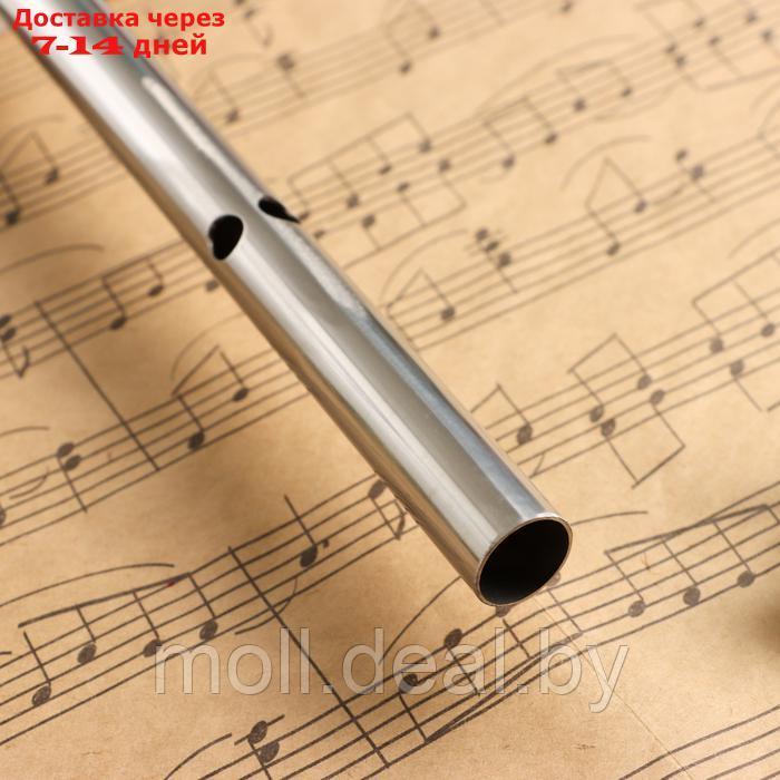 Флейта Music Life 304, 46 см, нержавеющая сталь, тональность G - фото 4 - id-p227087764