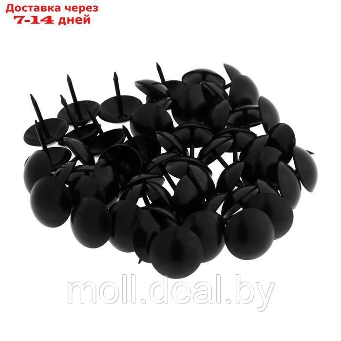 Гвозди декоративные ТУНДРА, 19х22 мм, цвет черный, в упаковке 200 шт. - фото 2 - id-p227090753