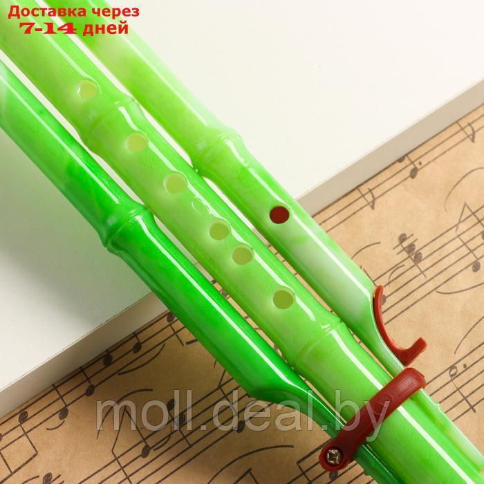 Флейта Music Life, хулуси, тональность C, зеленая - фото 2 - id-p227087768