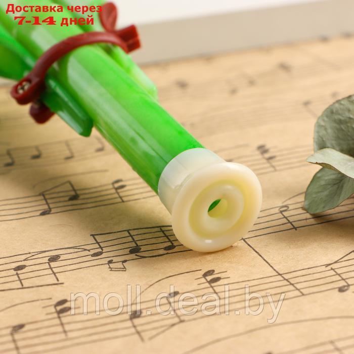 Флейта Music Life, хулуси, тональность C, зеленая - фото 3 - id-p227087768