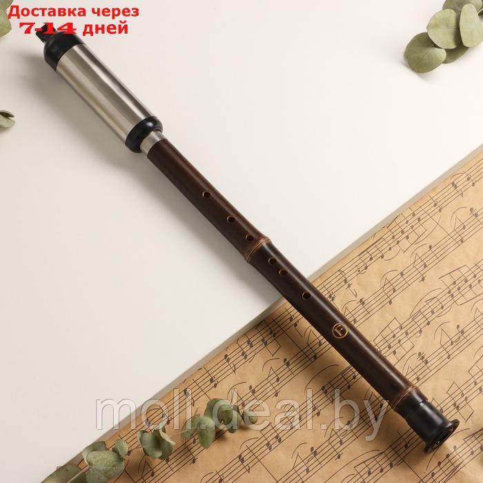 Флейта Music Life 52 см, с узорами, тональность F, бамбук, разборная - фото 1 - id-p227087769