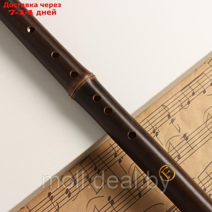 Флейта Music Life 52 см, с узорами, тональность F, бамбук, разборная - фото 2 - id-p227087769