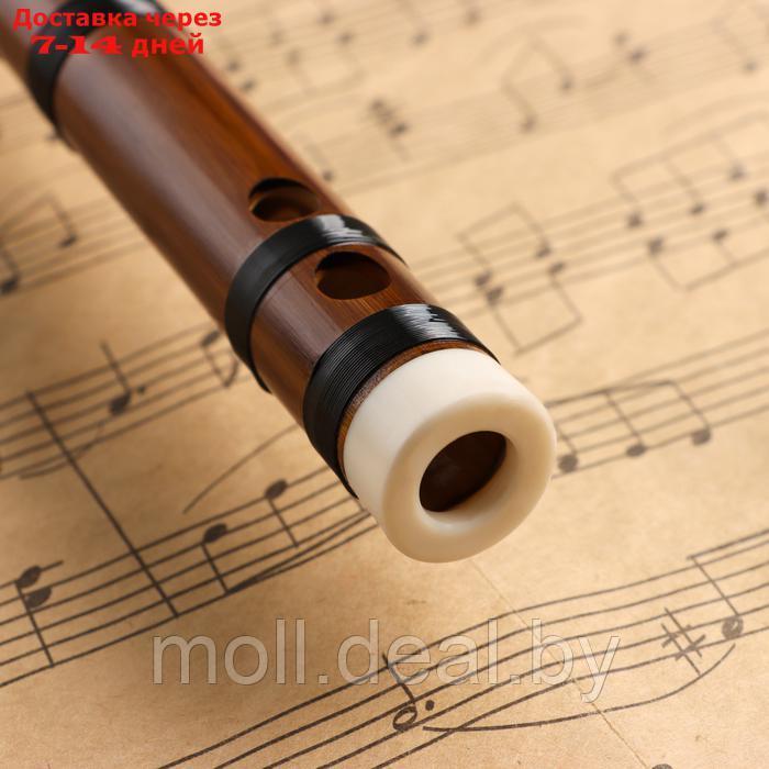 Флейта Music Life 48 см, бамбук, тональность D - фото 3 - id-p227087770