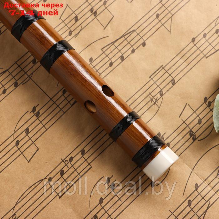 Флейта Music Life 48 см, бамбук, тональность D - фото 4 - id-p227087770