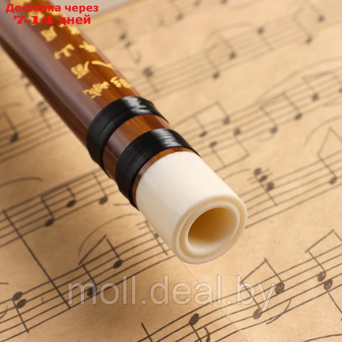 Флейта Music Life 48 см, бамбук, тональность D - фото 5 - id-p227087770