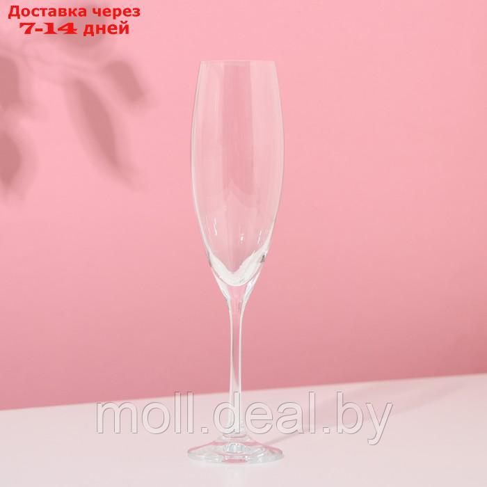 Набор бокалов для шампанского "София", стеклянный, 230 мл, набор 2 шт - фото 2 - id-p227106850