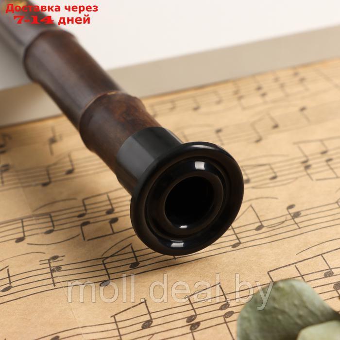 Флейта Music Life 52 см, с узорами, тональность B, бамбук, разборная - фото 3 - id-p227087778