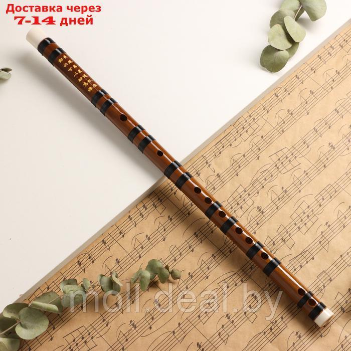 Флейта Music Life 48 см, бамбук, тональность E - фото 1 - id-p227087779