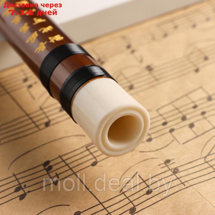 Флейта Music Life 48 см, бамбук, тональность E - фото 5 - id-p227087779