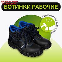 Рабочие кожанные ботинки Prosafe basic 13, подносок термопласт, размер 46