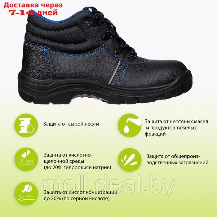 Рабочие кожанные ботинки Prosafe basic 13, подносок термопласт, размер 46 - фото 4 - id-p226890546