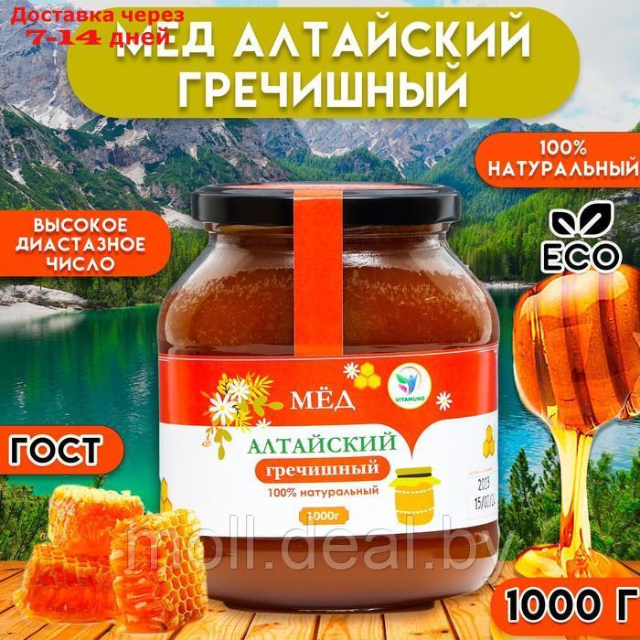 Мёд Алтайский Гречишный Vitamuno, 1 кг (стекло) - фото 1 - id-p227078874