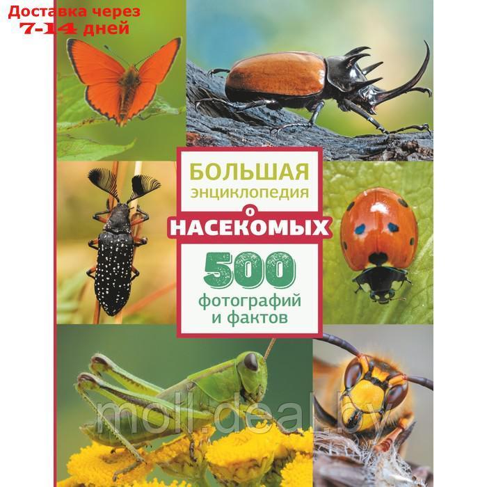 Большая энциклопедия о насекомых. 500 фотографий и фактов - фото 1 - id-p227082843