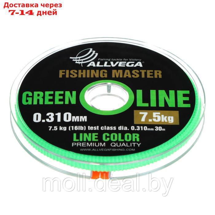 Леска монофильная ALLVEGA "Fishing Master" 30м 0,310мм, 7,5кг, зеленая - фото 1 - id-p227113170