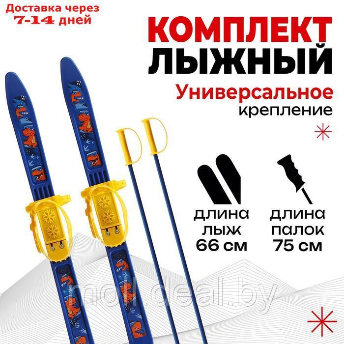 Комплект лыжный детский: лыжи 66 см, палки 75 см - фото 1 - id-p227095734