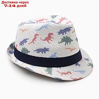 Шляпа для мальчиков "Динозаврики" MINAKU, р-р 52-54, цв. белый