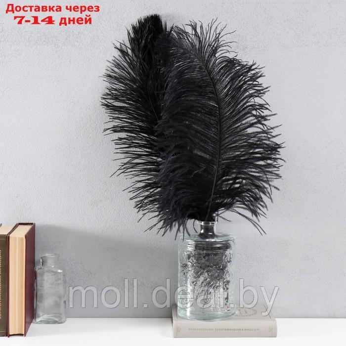 Перо страуса 35-40 см, чёрный - фото 1 - id-p227102677