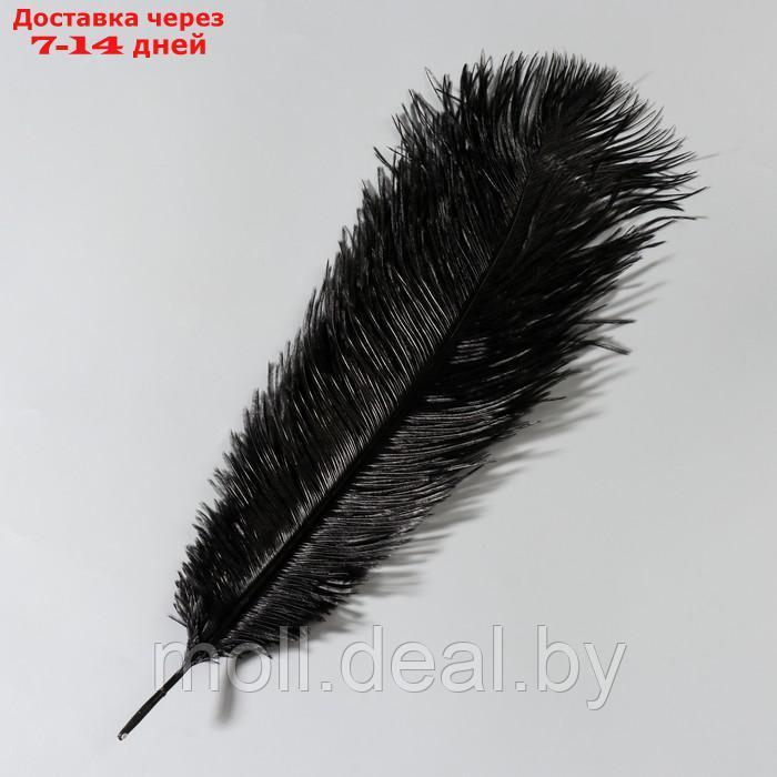 Перо страуса 35-40 см, чёрный - фото 2 - id-p227102677