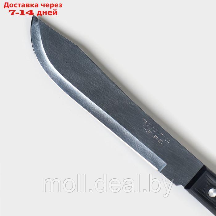 Нож кухонный для мяса TRAMONTINA Plenus, лезвие 17,5 см - фото 3 - id-p227076897