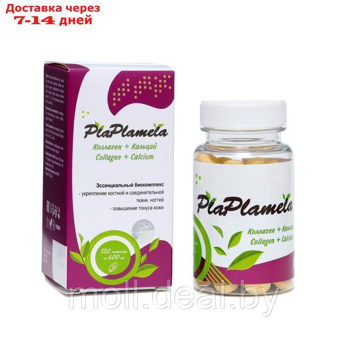 Коллаген + Кальций PlaPlamela, 120 таблеток по 600 мг - фото 1 - id-p227095752