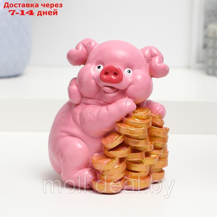 Копилка "Свинья любит деньги" 14х11х11см - фото 1 - id-p226889638