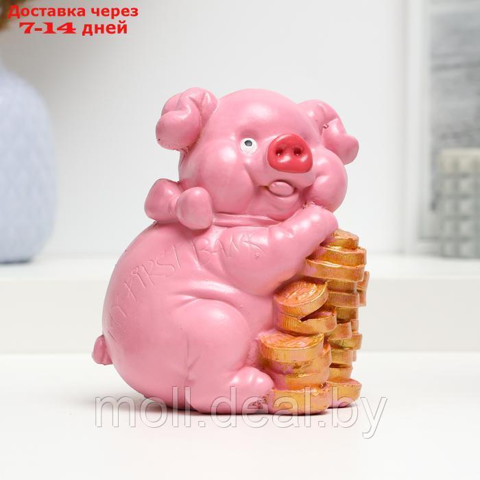 Копилка "Свинья любит деньги" 14х11х11см - фото 2 - id-p226889638