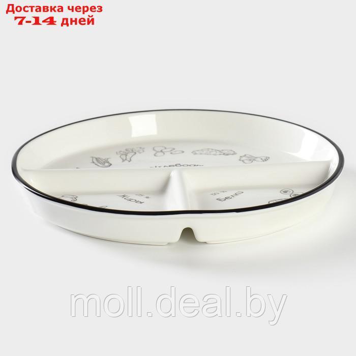 Тарелка фарфоровая для правильного питания Доляна, d=23 см - фото 4 - id-p226885746
